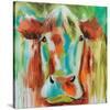 Misty Pasture-Amanda J^ Brooks-Stretched Canvas