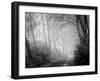 Misty Path in Black and White-Craig Roberts-Framed Photographic Print