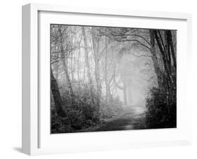 Misty Path in Black and White-Craig Roberts-Framed Photographic Print