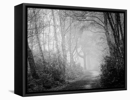 Misty Path in Black and White-Craig Roberts-Framed Stretched Canvas