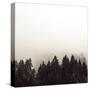Misty Peaks-Florian Schleinig-Stretched Canvas