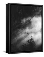 Misty Pine Woods-Design Fabrikken-Framed Stretched Canvas