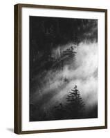 Misty Pine Woods-Design Fabrikken-Framed Premium Photographic Print