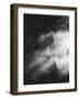 Misty Pine Woods-Design Fabrikken-Framed Photographic Print