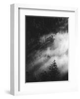 Misty Pine Woods-Design Fabrikken-Framed Photographic Print