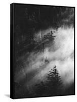 Misty Pine Woods-Design Fabrikken-Framed Stretched Canvas