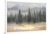 Misty Pines-Danhui Nai-Framed Art Print