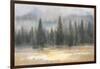 Misty Pines-Danhui Nai-Framed Art Print