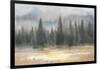 Misty Pines-Danhui Nai-Framed Art Print