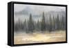 Misty Pines-Danhui Nai-Framed Stretched Canvas