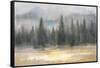 Misty Pines-Danhui Nai-Framed Stretched Canvas