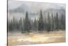 Misty Pines-Danhui Nai-Stretched Canvas