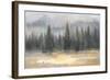 Misty Pines-Danhui Nai-Framed Art Print