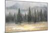 Misty Pines-Danhui Nai-Mounted Art Print