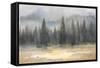 Misty Pines-Danhui Nai-Framed Stretched Canvas