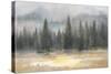 Misty Pines-Danhui Nai-Stretched Canvas