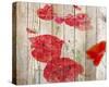 Misty Poppy-null-Stretched Canvas