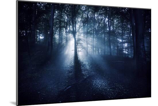 Photographic Print, , large