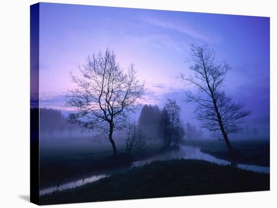 Misty River and Forest at Dusk, Baden-Wuerttemberg, Germany-Herbert Kehrer-Stretched Canvas