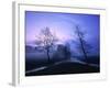 Misty River and Forest at Dusk, Baden-Wuerttemberg, Germany-Herbert Kehrer-Framed Photographic Print