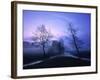 Misty River and Forest at Dusk, Baden-Wuerttemberg, Germany-Herbert Kehrer-Framed Photographic Print