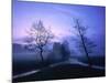 Misty River and Forest at Dusk, Baden-Wuerttemberg, Germany-Herbert Kehrer-Mounted Photographic Print