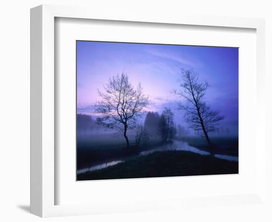 Misty River and Forest at Dusk, Baden-Wuerttemberg, Germany-Herbert Kehrer-Framed Photographic Print