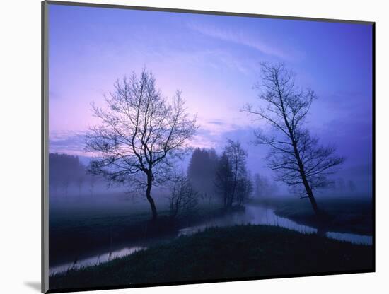 Misty River and Forest at Dusk, Baden-Wuerttemberg, Germany-Herbert Kehrer-Mounted Photographic Print