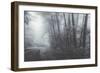 Misty Road Through the Redwoods, California Coast-Vincent James-Framed Photographic Print