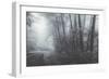 Misty Road Through the Redwoods, California Coast-Vincent James-Framed Photographic Print