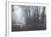 Misty Road Through the Redwoods, California Coast-Vincent James-Framed Photographic Print