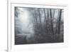 Misty Road Through the Redwoods, California Coast-Vincent James-Framed Photographic Print