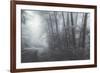 Misty Road Through the Redwoods, California Coast-Vincent James-Framed Photographic Print