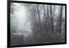 Misty Road Through the Redwoods, California Coast-Vincent James-Framed Photographic Print