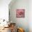 Misty Rose Pink Rose-Cora Niele-Stretched Canvas displayed on a wall