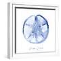 Misty Sand Dollar-Marcus Prime-Framed Art Print