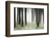 Misty Spruce Forest in Autumn, Abstract Study [M], Colour and Contrast Digitally Enhanced-Andreas Vitting-Framed Photographic Print