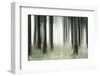 Misty Spruce Forest in Autumn, Abstract Study [M], Colour and Contrast Digitally Enhanced-Andreas Vitting-Framed Photographic Print