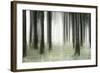 Misty Spruce Forest in Autumn, Abstract Study [M], Colour and Contrast Digitally Enhanced-Andreas Vitting-Framed Photographic Print