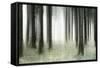 Misty Spruce Forest in Autumn, Abstract Study [M], Colour and Contrast Digitally Enhanced-Andreas Vitting-Framed Stretched Canvas