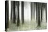 Misty Spruce Forest in Autumn, Abstract Study [M], Colour and Contrast Digitally Enhanced-Andreas Vitting-Stretched Canvas