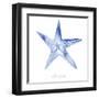 Misty Starfish-Marcus Prime-Framed Art Print