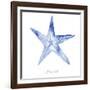 Misty Starfish-Marcus Prime-Framed Art Print