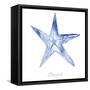 Misty Starfish-Marcus Prime-Framed Stretched Canvas