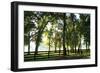 Misty Sunrise 1-Alan Hausenflock-Framed Photographic Print