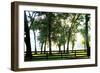 Misty Sunrise 2-Alan Hausenflock-Framed Photographic Print