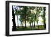 Misty Sunrise 2-Alan Hausenflock-Framed Photographic Print