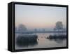 Misty Sunrise over Heron Pond, Bushy Park, London, England, United Kingdom, Europe-Stuart Hazel-Framed Stretched Canvas