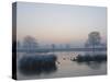 Misty Sunrise over Heron Pond, Bushy Park, London, England, United Kingdom, Europe-Stuart Hazel-Stretched Canvas