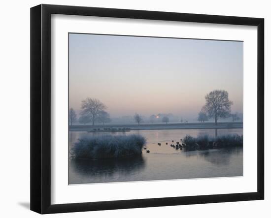 Misty Sunrise over Heron Pond, Bushy Park, London, England, United Kingdom, Europe-Stuart Hazel-Framed Photographic Print